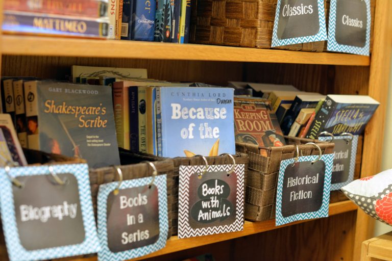 Summer Reading Resources