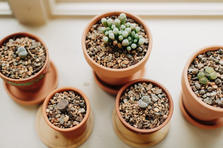 God-Given Growth