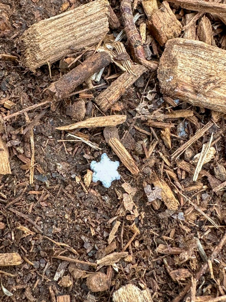 Through a Child’s Eyes: Snow, Wonder, and Truth