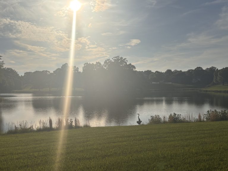 Beside Still Waters